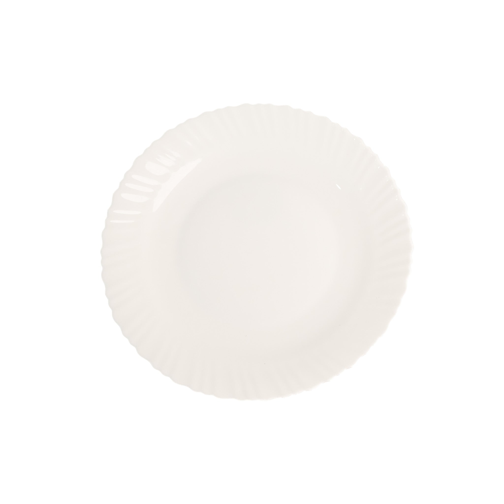 PLATO TRINCHE SHELL 12 PULGADAS (Caja con 24 piezas)